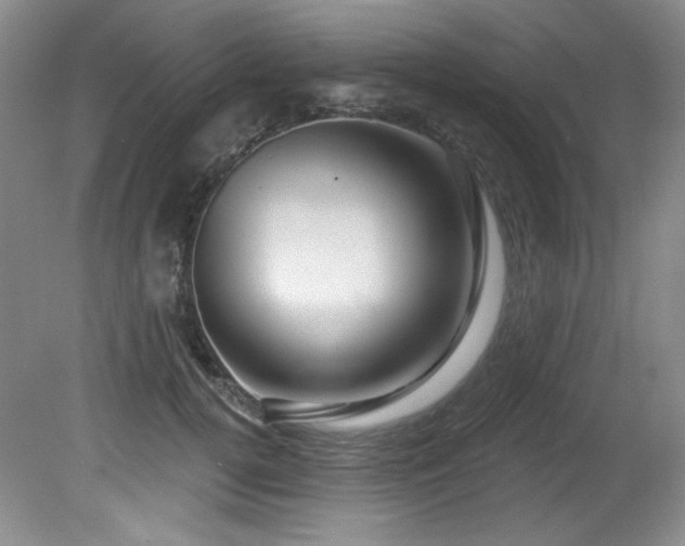 X0000080790752200612151454