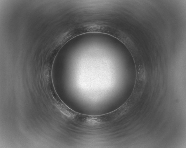 X0000080790753200612151454