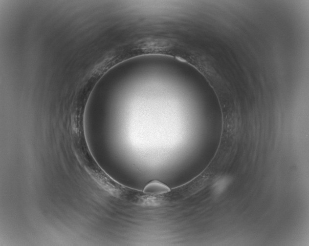 X0000080790755200612151454