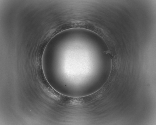 X0000080790756200612151454