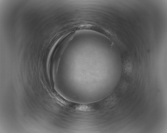 X0000080790759200612151454