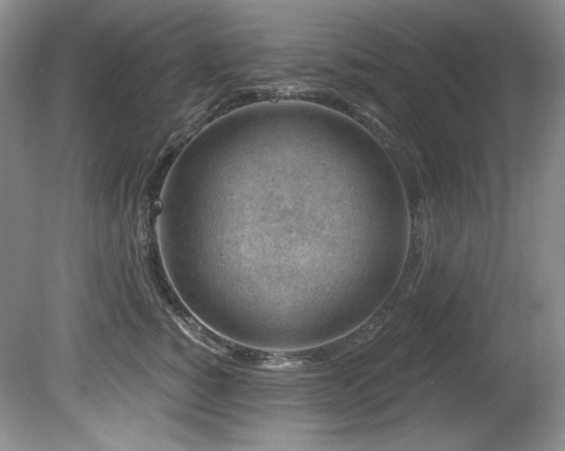 X0000080790760200612151454