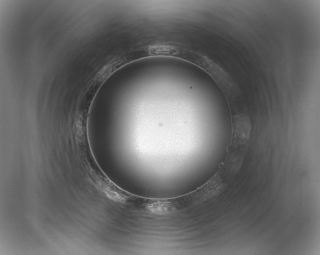 X0000080790761200612151454