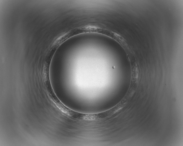 X0000080790762200612151454