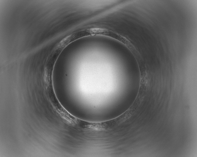 X0000080790763200612151455