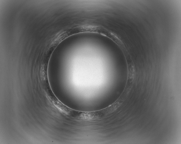 X0000080790764200612151455