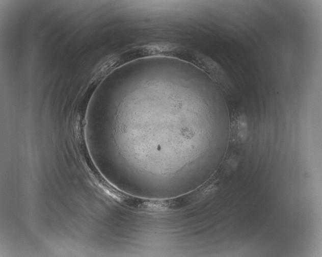 X0000080790765200612151455