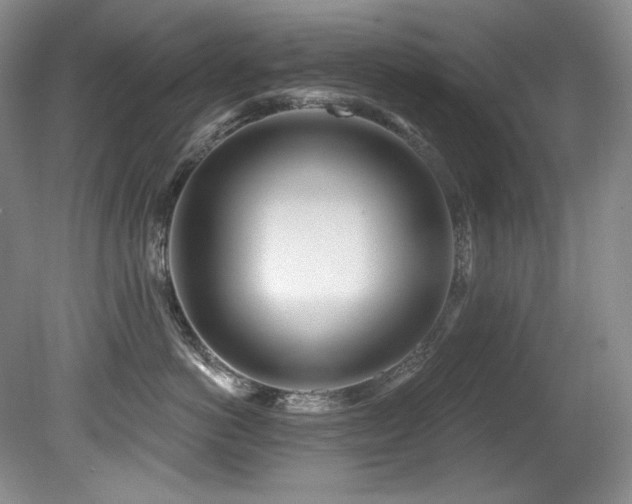 X0000080790766200612151455