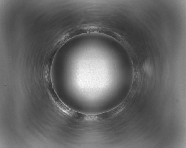 X0000080790767200612151455