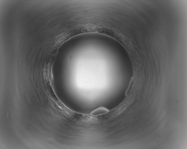 X0000080790768200612151455