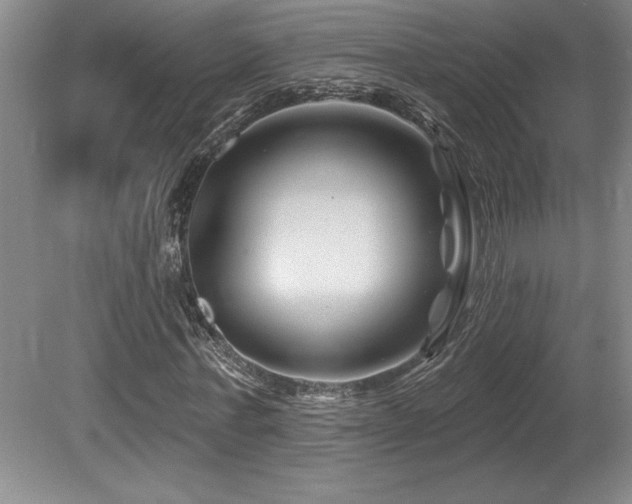 X0000080790771200612151454