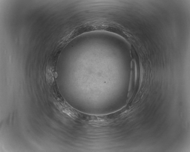 X0000080790772200612151454