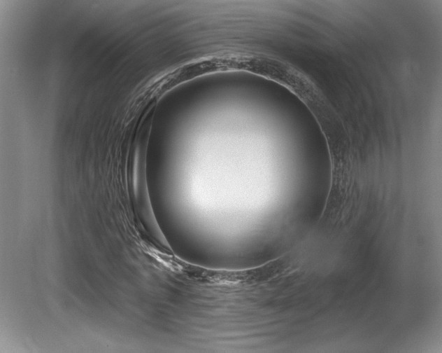 X0000080790773200612151454