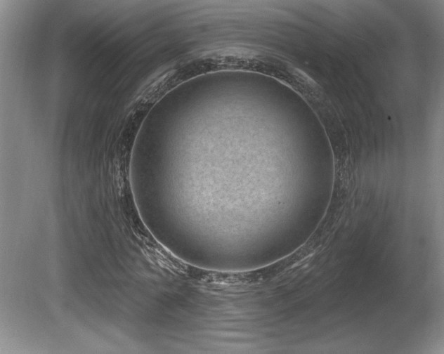 X0000080790774200612151454