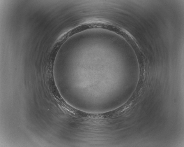 X0000080790775200612151454