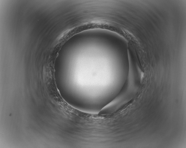 X0000080790776200612151454