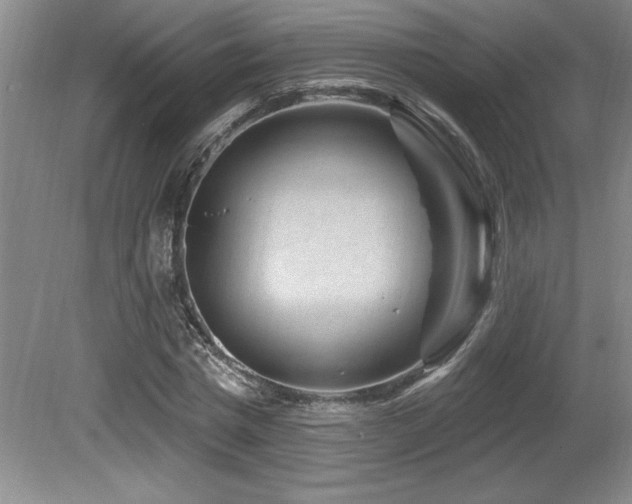X0000080790777200612151454