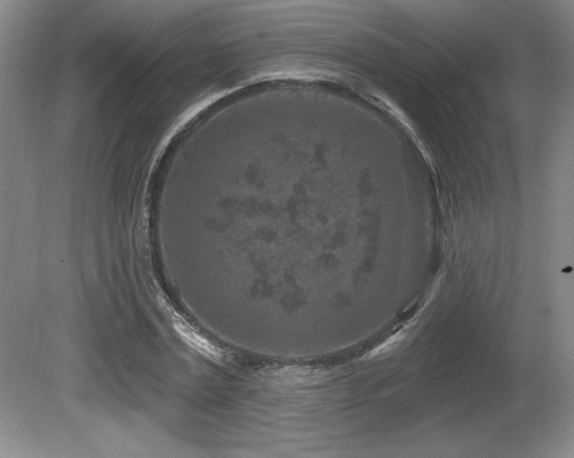 X0000080790779200612151454