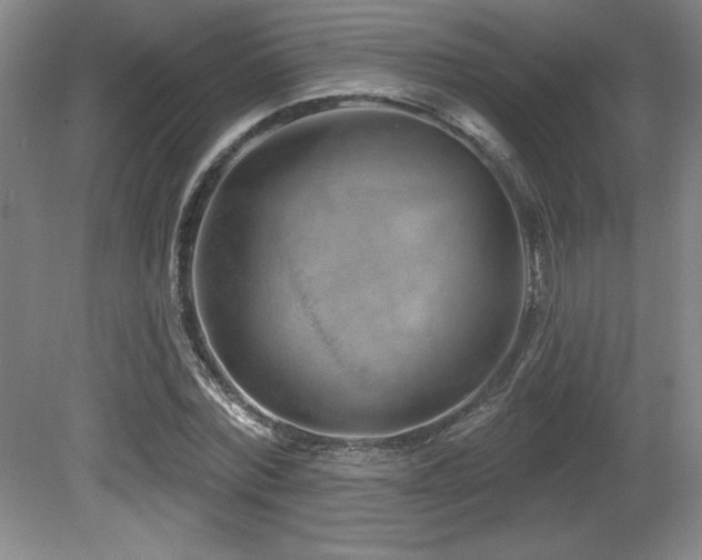 X0000080790780200612151454