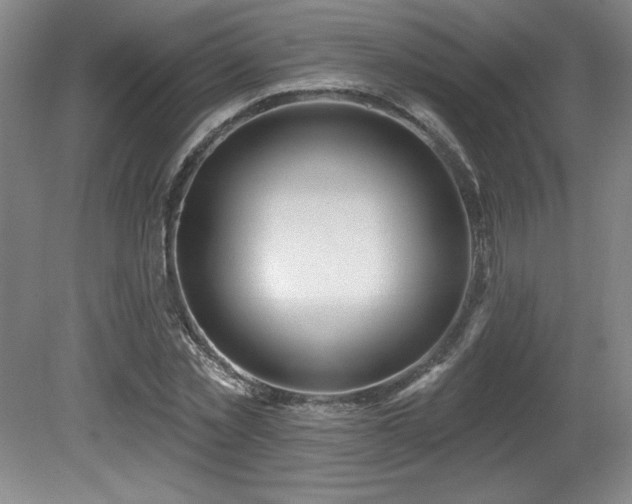 X0000080790781200612151454