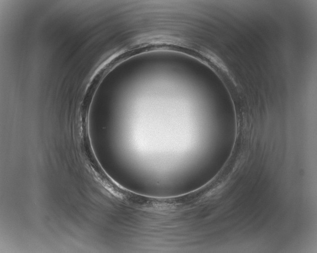 X0000080790782200612151454
