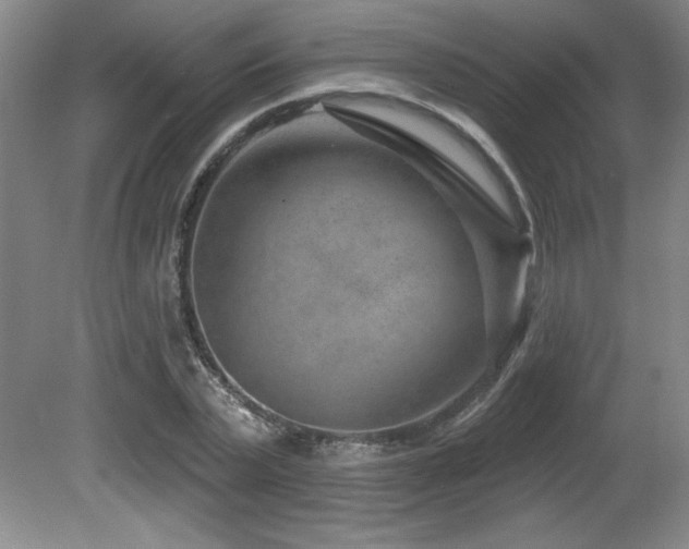 X0000080790783200612151454