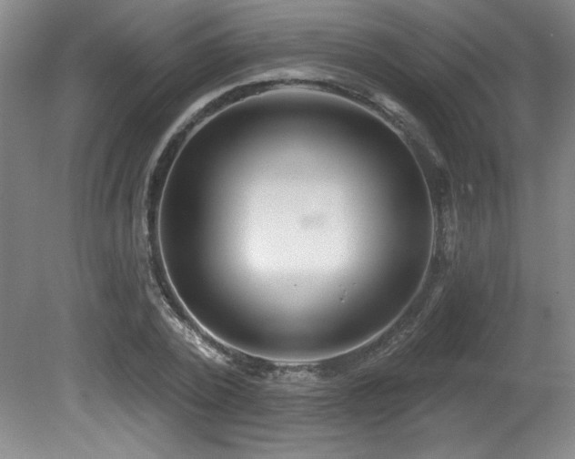 X0000080790784200612151454
