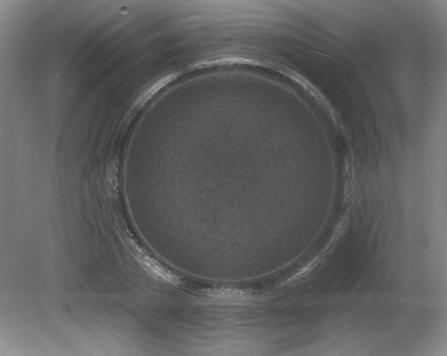 X0000080790785200612151454