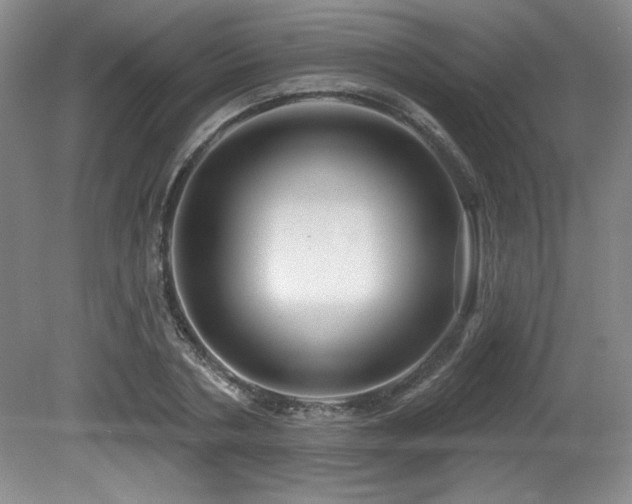 X0000080790786200612151453