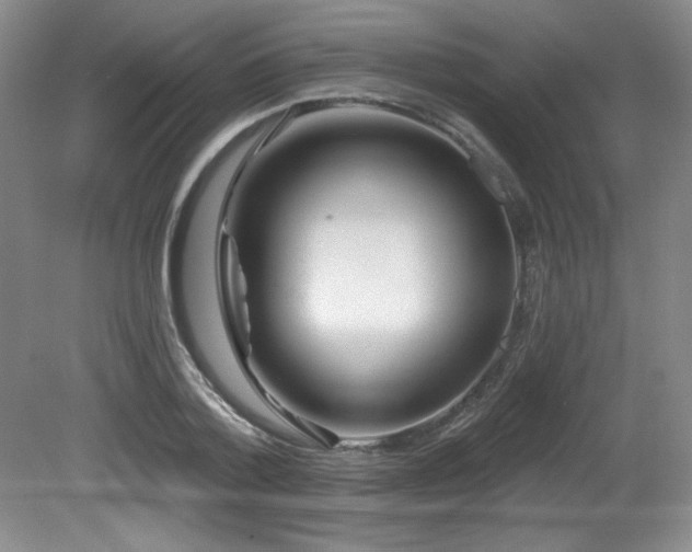 X0000080790788200612151453