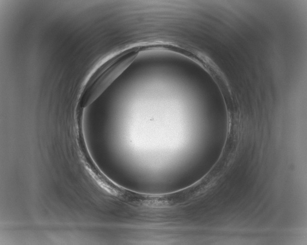 X0000080790789200612151453
