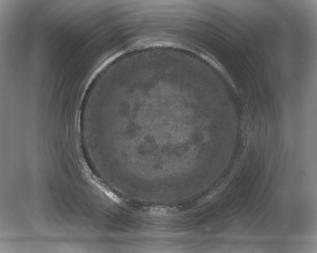 X0000080790790200612151453