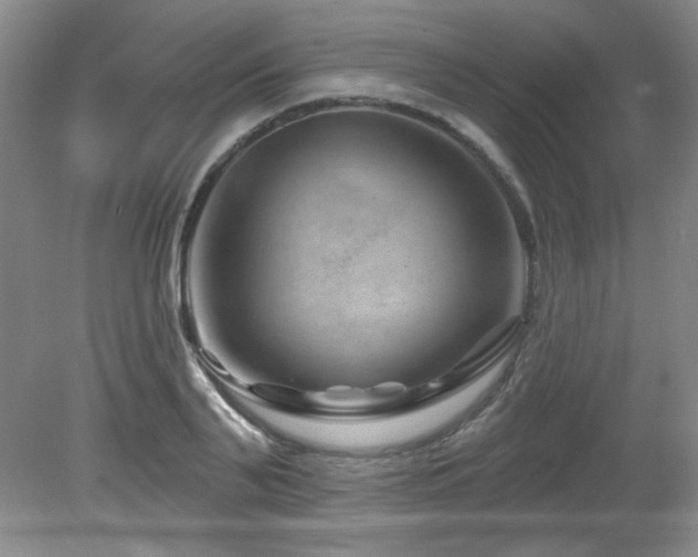 X0000080790791200612151453