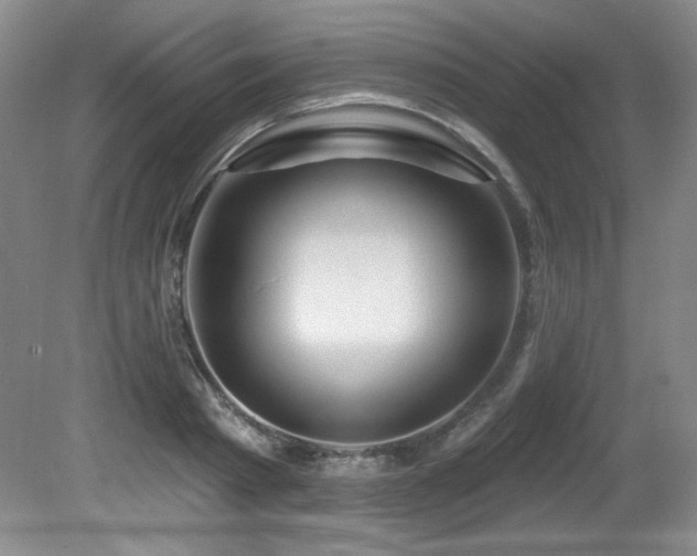 X0000080790793200612151453
