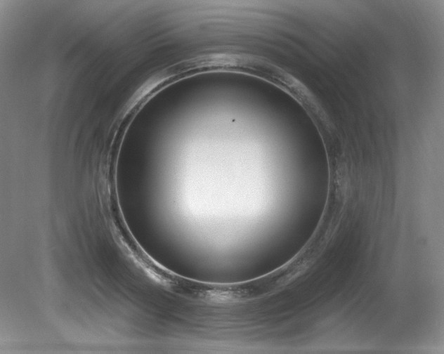 X0000080790794200612151453