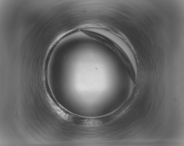 X0000080790795200612151453