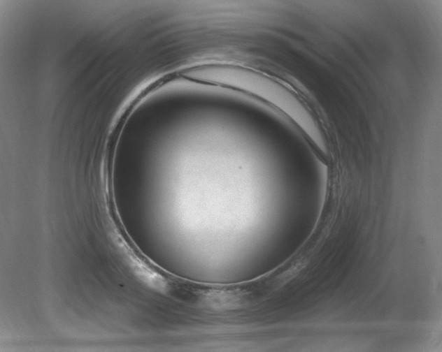 X0000080790796200612151453