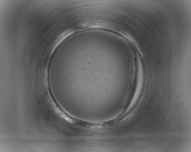 X0000080790798200612151453