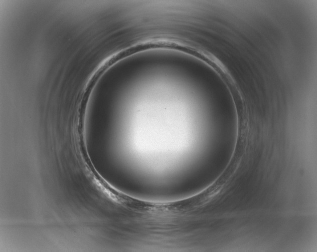 X0000080790799200612151453