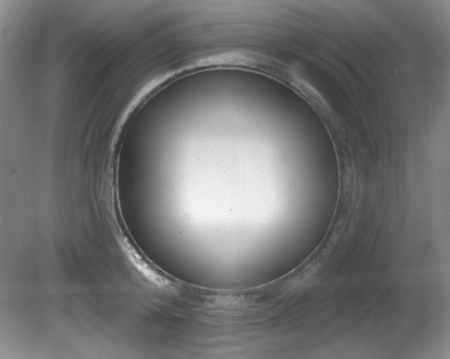 X0000080790800200612151453