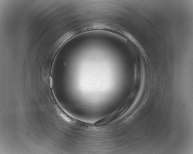 X0000080790801200612151453