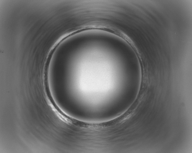 X0000080790803200612151453