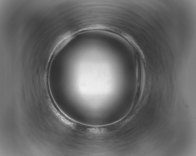 X0000080790805200612151453