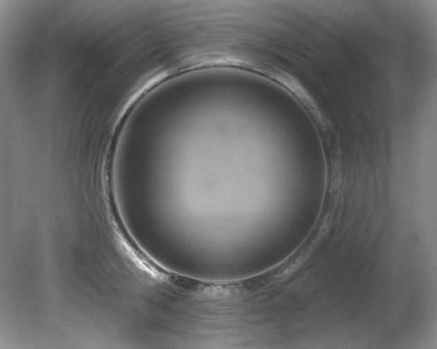 X0000080790806200612151453