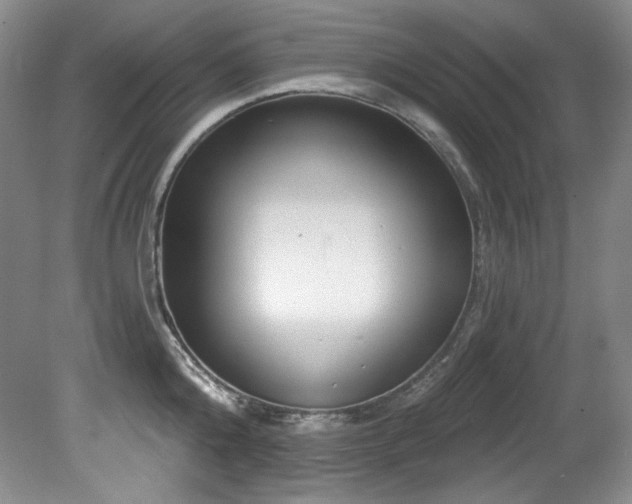 X0000080790808200612151453