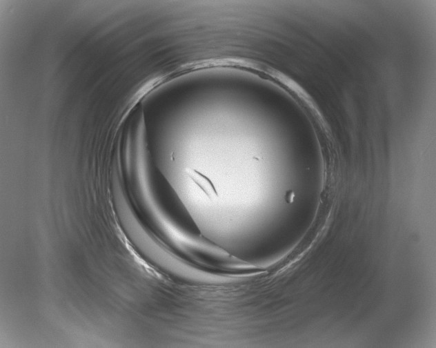 X0000080790809200612151453