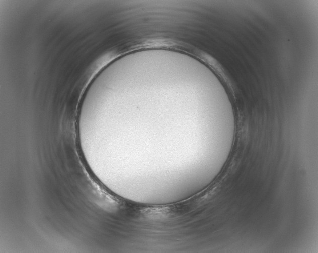 X0000080790810200612151453