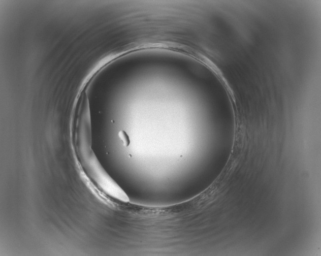 X0000080790811200612151453