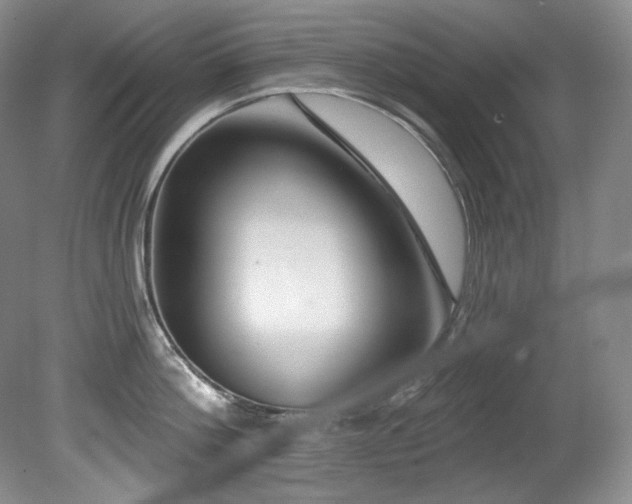 X0000080790812200612151453