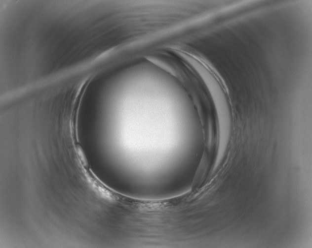 X0000080790813200612151453